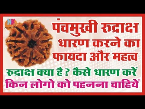 पंचमुखी रुद्राक्ष क्यों  धारण करें , फायदे और नुकसान || इस महाशिव रात्रि को करे धारण