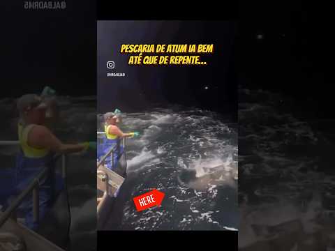 O pescador foi a loucura… 😂😂🎣❤️ #pescaria #pesca #altomar #pescador #tubarão #pescaesportiva