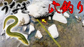 穴の中に潜む高級魚を狙え！強力助っ人降臨！？