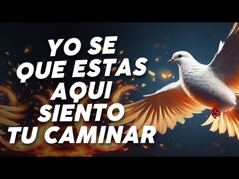 Con Mi Fe Te Alcanzare - Alabanzas de Adoracion - Mix de Musica Cristiana 2024 - Himnos Cristianos