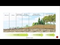 Ecological Succession Concepts