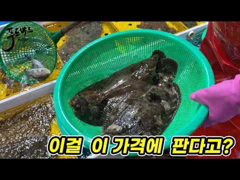 [호구탈출] 속초 동명항에서 15만원에 팔던걸 여긴 이걸 이 가격에 파네요~