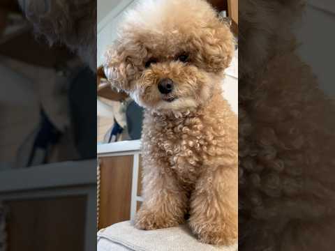 내가 분명 빠트리지 말랬지