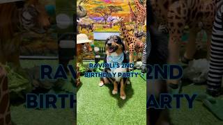 Ravioli had a WILD birthday party! 🦒🐘