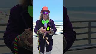 I met the Chocolate Snake, Rosie in Oceanside, CA #snake #chocolate #candy #mrbeast #feastables