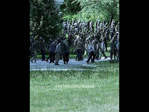"We'll Try It Dixon's Way" | The Walking Dead | #shorts