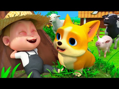 Best Kids Songs from KiKy Kids Song | +More Best Kids Song & Nursery Rhymes Compilation