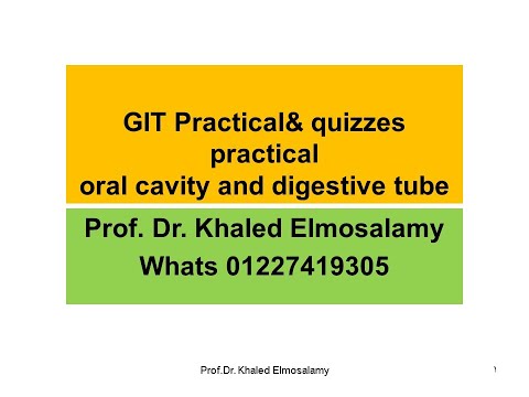 GIT histology  practical  lip= tongue=esophagus=stomach=small intestine=large intestine and appendix