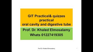 GIT histology  practical  lip= tongue=esophagus=stomach=small intestine=large intestine and appendix