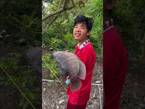 Quá tài luôn mà tài lanh tài lẹt #nhanhtv #shofts