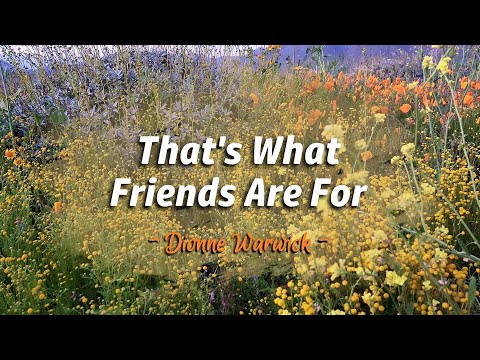 THAT’S WHAT FRIENDS ARE FOR – (Karaoke Version) – in the style of Dionne Warwick