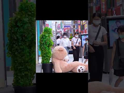 대왕 테디베어로 갑자기 놀래키기ㅋㅋ