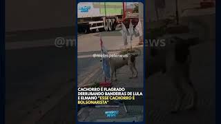 Na vdd o cãozinho está preocupado, o Larápio já está falando em ovo, logo mais será os cachorros.🤫🎯
