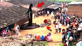 यूपी के इस गाँव में जब एक इच्चाधारी नागिन का गुस्सा  कहर बनकर टुटा #ichchadharinagin #facts #snake