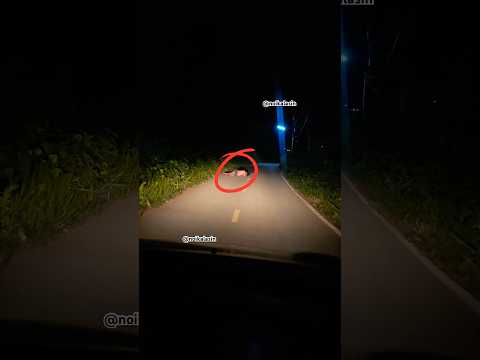 เตือนภัย….#funfunny #trolllife #comedy #แชร์ #automobile #memes ส่วน#เตือนภัย#เตือนภัย..สมมุติ..