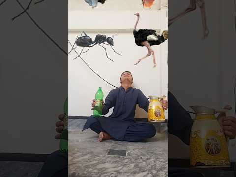 I Eat Halal Animals ? | Hasbhi rabbi jallalah ? #shorts #youtubeshorts #islamtrend