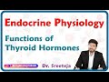 Thyroid Function and Disorders