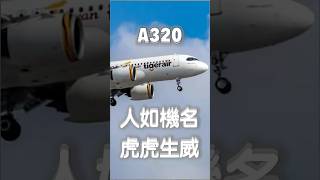 虎航大媽掌摑空服員，下機直接被警察帶走。#台灣虎航 #空服員 #航空警察 #飛行安全 #桃園機場 #A320 #飛機 #航空新聞  #aviationshorts #航空事件