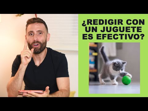 ¿Redirigir con un juguete el comportamiento obsesivo de un gato lo percibirá como un premio?