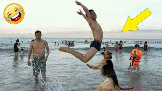 New Funny Dogs And Cats 2024 😍🐶😻 Daily Dose of Laughs #275