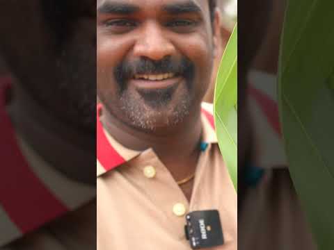 இப்படி பதனி குடிச்சா அனுபவம் உண்டா...? | WFT Vlog