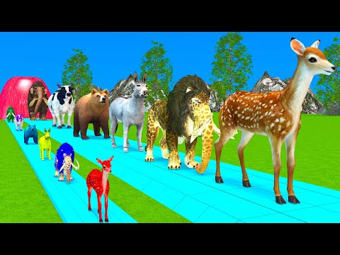 Paint Animals Duck,Tiger,Cow,Lion,Buffalo,Gorilla,Elephant,Dinosaur Fountain Crossing Animal Game Wa