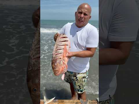 ¿ Cual es tu favorito ? #fishing #fish #viralvideo