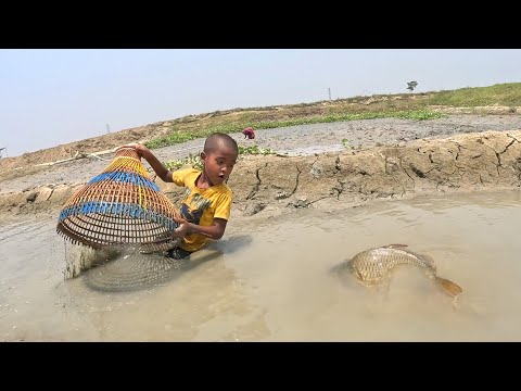 OMG! Small Boy Unbelievable Big Fish Hunting By Polo| #bigfish #polo