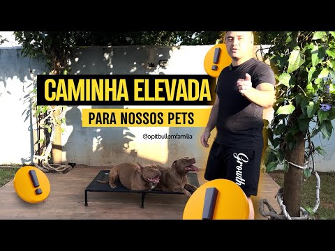 Cama elevada para pet ?? Assista e veja 👆🏼