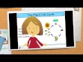 Diagrams in Non-Fiction Texts