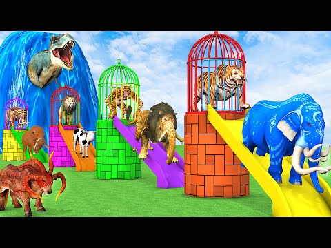 Guess The Right Animal Cage With Elephant Cow Lion Tiger Dinosaur Paint Long Slide Fountain Cross