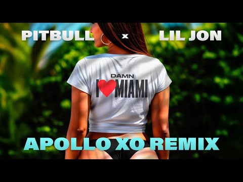 Pitbull x Lil Jon - Damn I Love Miami (Apollo XO Remix) (Official Audio)