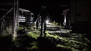 Spennende revejakt! - Lofoten Hunters