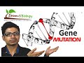 Understanding Genetic Mutations and Their Impact