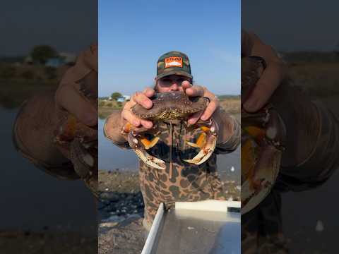 The EASIEST WAY to clean a CRAB