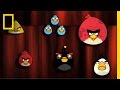 Angry Birds: From Game to Educational Tool