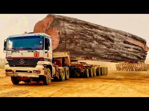 Dangerous Fastest Logging Truck Huge Wood,  Heavy Driving Skill Fails Loading Machines Working