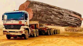 Dangerous Fastest Logging Truck Huge Wood,  Heavy Driving Skill Fails Loading Machines Working