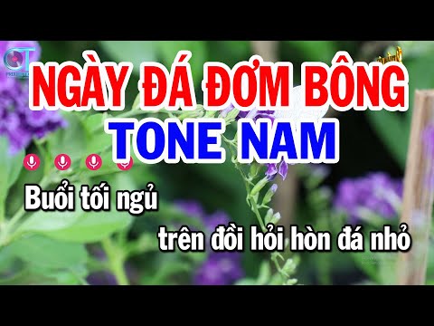 Karaoke Ngày Đá Đơm Bông Tone Nam ( Dm ) Nhạc Sống Hay Nhất | Karaoke Tuấn Kiệt