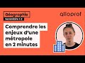 Challenges Faced by Metropolises