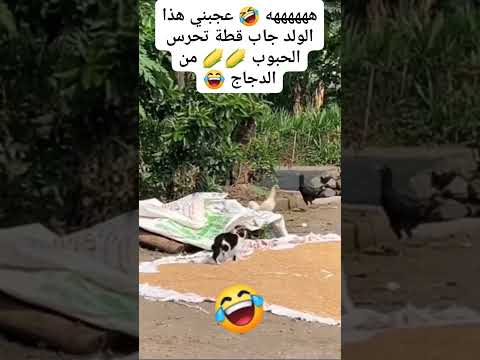 اذكى شخص بالعالم راح تتفاجئ بما حصل شوفوا اسوى 😱😧✋😱😧 #بث_مباشر_مباريات_اليوم#shrots