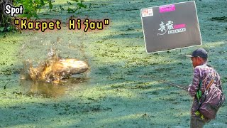 Test Reel Viral Langsung Diserbu Ikan 🤣🤣🤣