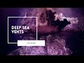 Hydrothermal Vents and Deep Ocean Life