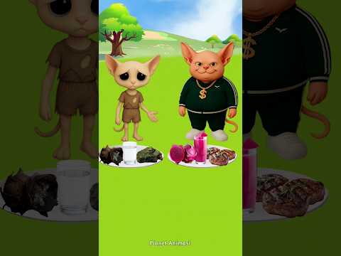 rich cat gives food to poor cat 😿 #shorts #catlovers #cutecat #catvideos