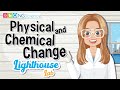 Chemical and Physical Changes in Matter