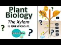 Plant Water Transport and Transpiration