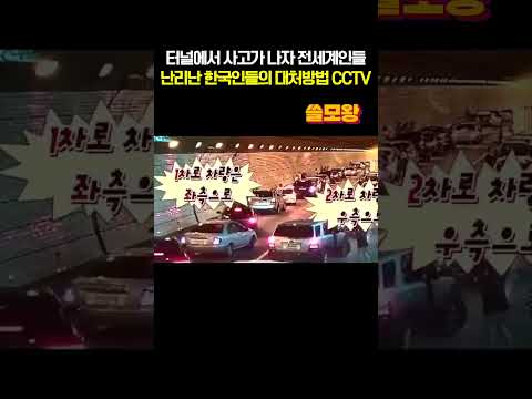 현재 전세계에서 난리난 위급상황속 한국인들의 대처방법 CCTV #한국 #CCTV #해외반응