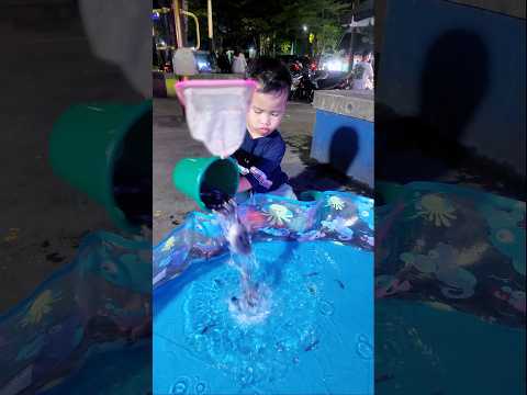 Ikannya gak jadi dituang #shortvideo #shorts #ytshorts #funny