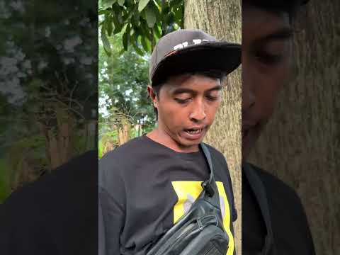 OK BAIK #comedypapua #lucu #tipeketawa #drama #komedialayamin #ngakak #comedy
