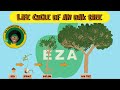 Tree Conservation and Growth Concepts
